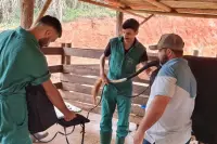 IFMG e Unidade Tecnológica Ceipart fortalecem cadeia produtiva do queijo em São Gonçalo do Rio Abaixo