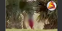 Homem é flagrado praticando ato obsceno em praça de Itabira; Veja Vídeo
